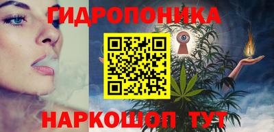 шишки Азнакаево