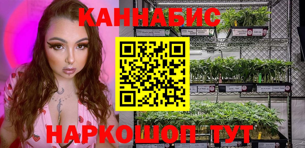 Алушта  Каннабис Amnesia  Канабис планчик  Вход с VPN  Каннабис индика 